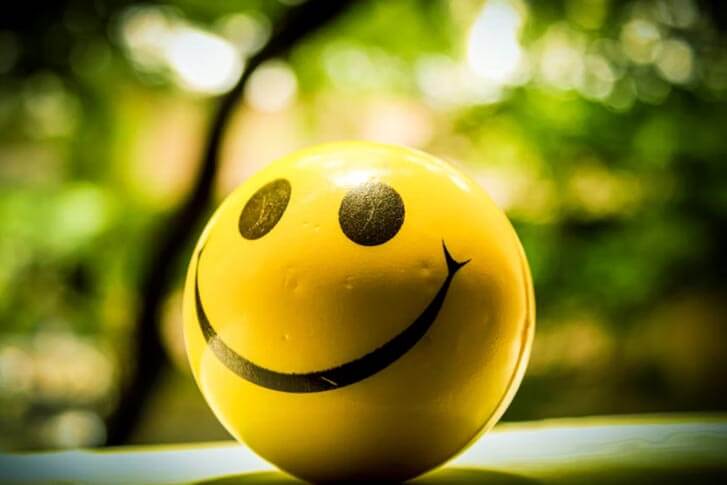 insight humano happy or not